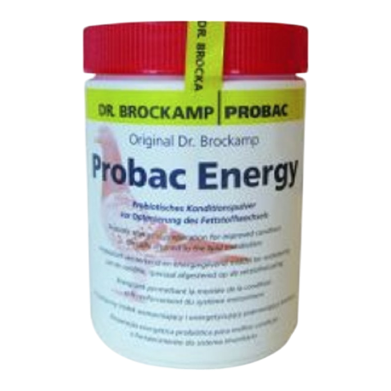 Probac Energy 500g