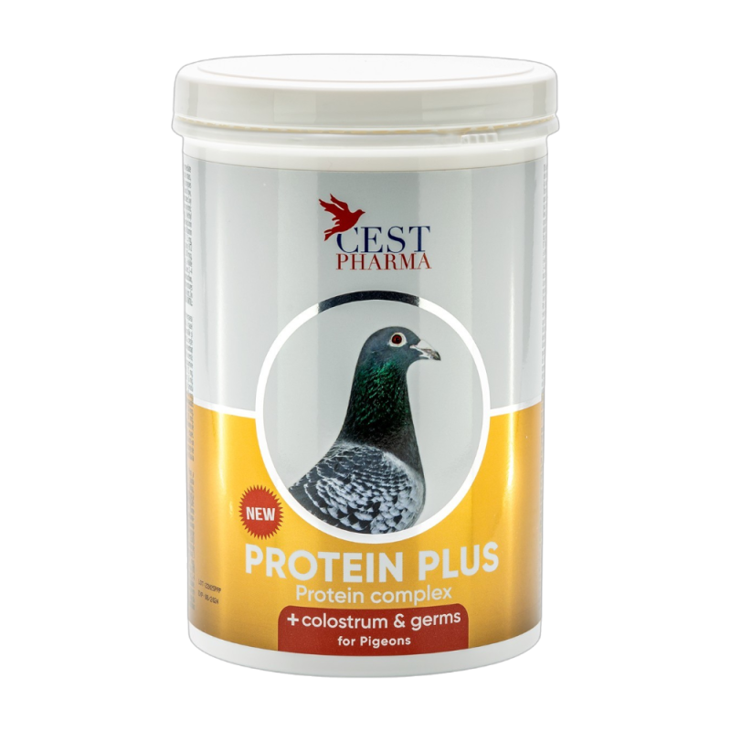 Protein Plus 600g