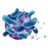 Floratonic 250g