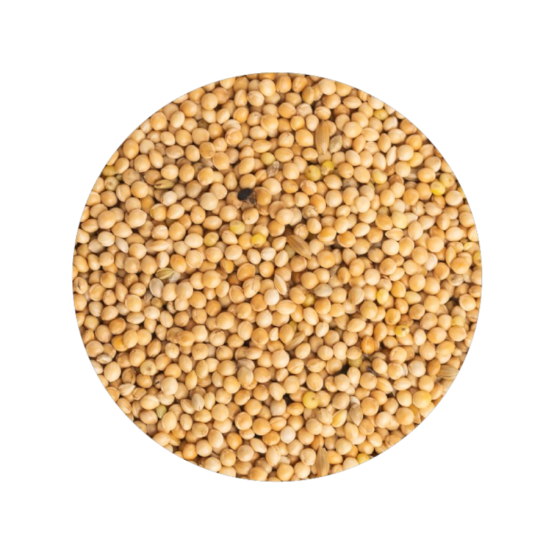 Milho Alvo Branco 850g