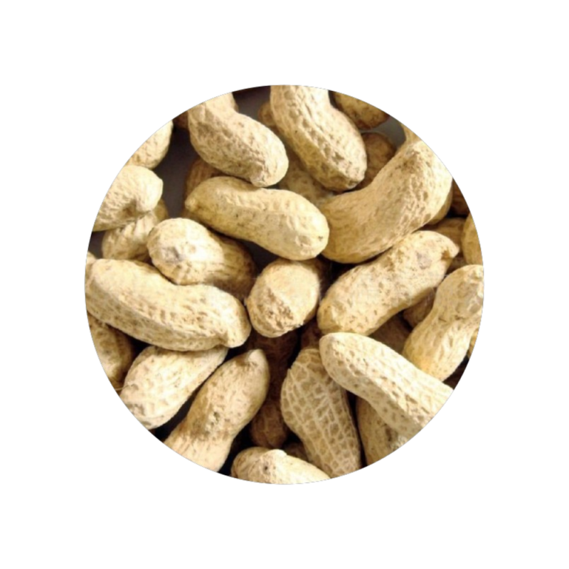 Amendoim Crú Com Casca 350g