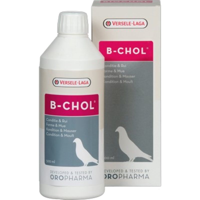 B-Chol 500ml