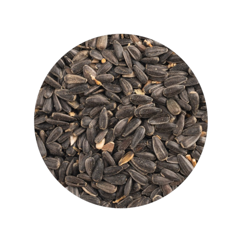 Girassol Preto 3kg