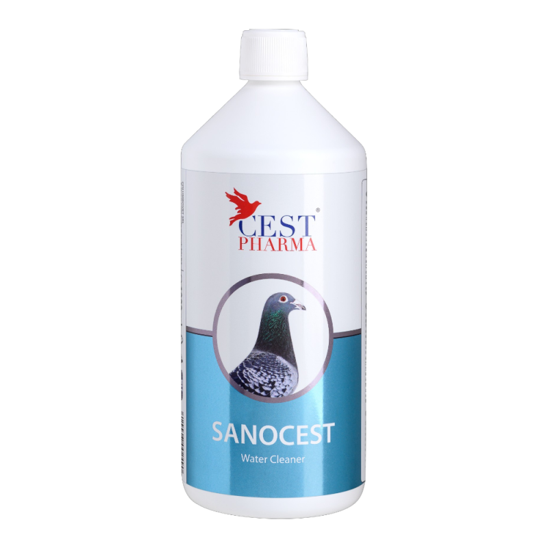 Sanocest 1000ml