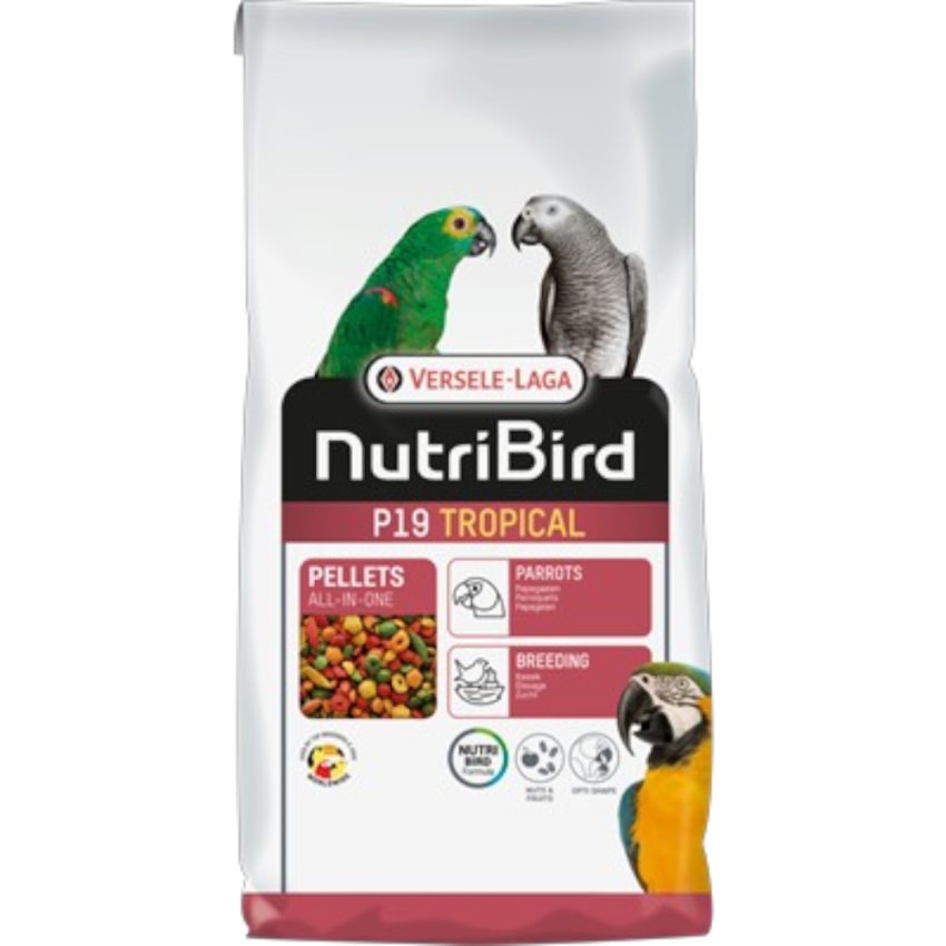 P19 Tropical 10kg
