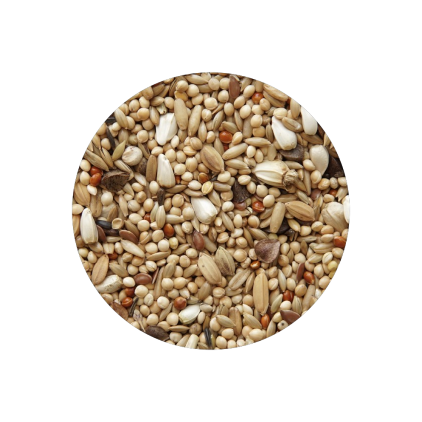 Agapornis Classic 20kg