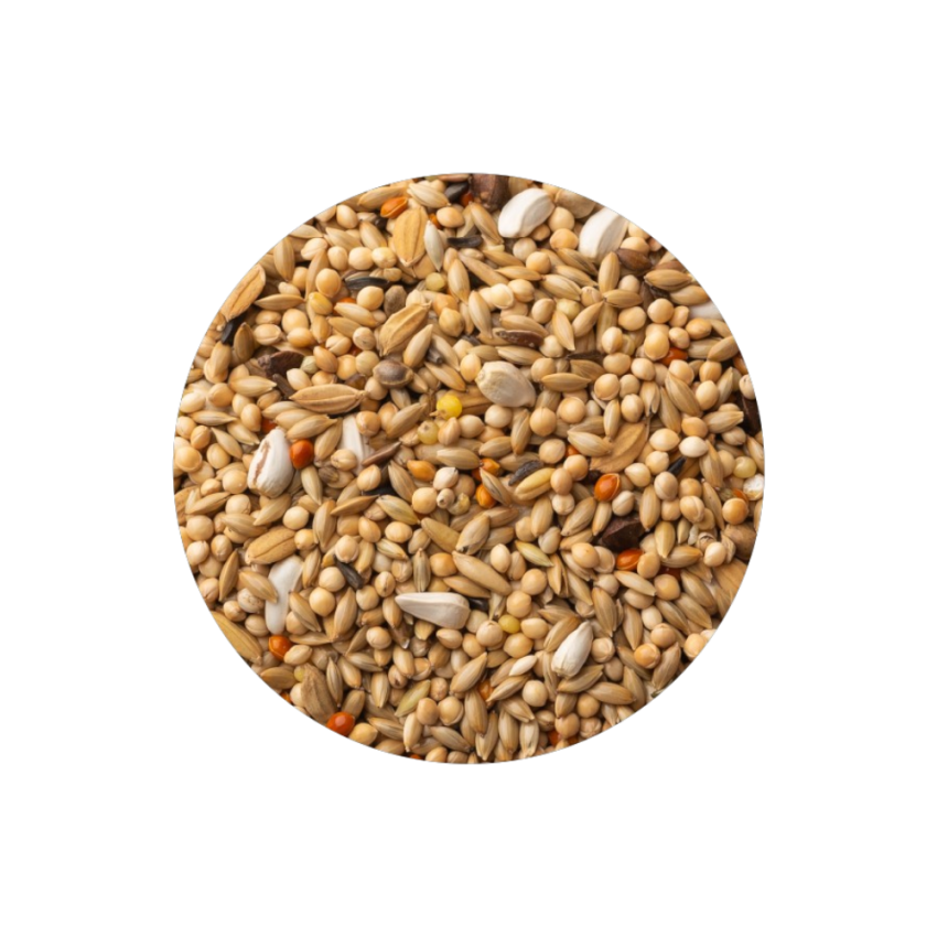 Agapornis Premium 4kg