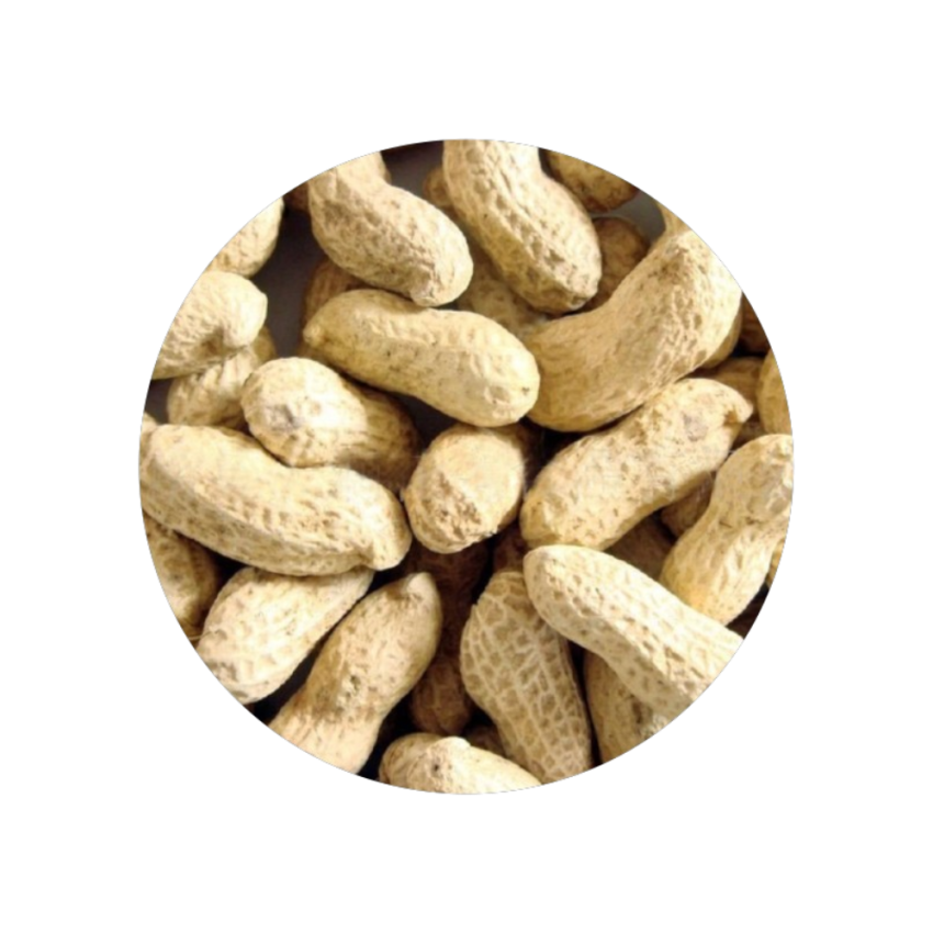 Amendoim Crú Com Casca 350g