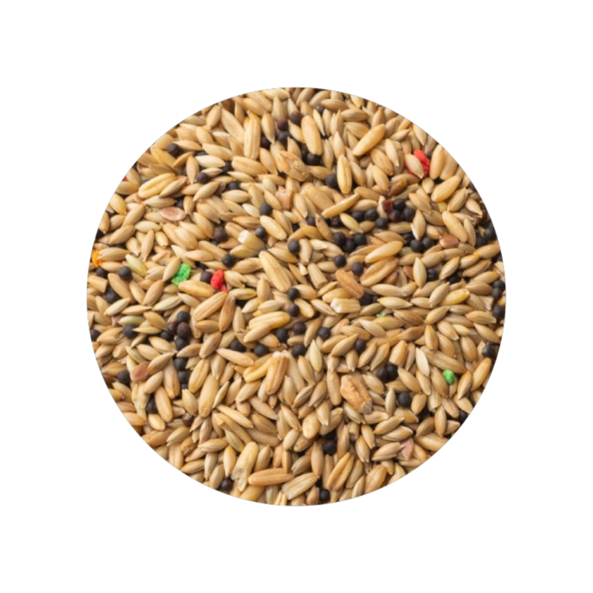 Canário Elite sem Aveia 4kg