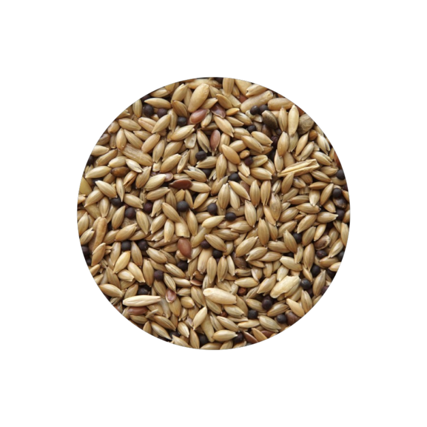 Canario Sem Biscoito Standart 20kg