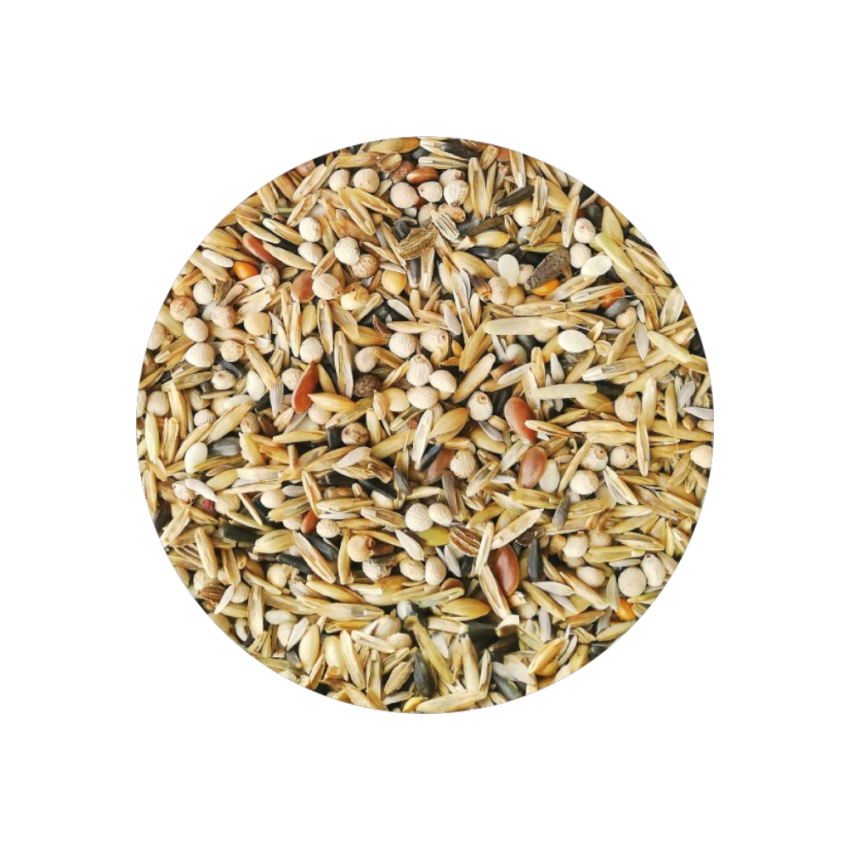 Cardinalitos Premium