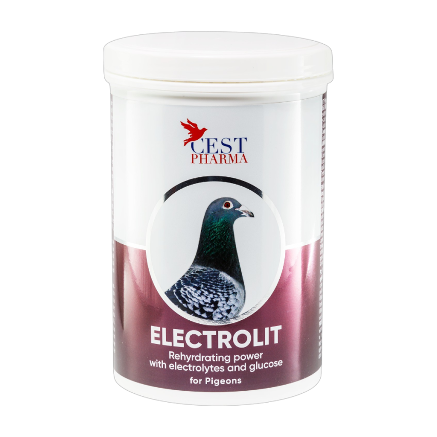 Electrolit 600g