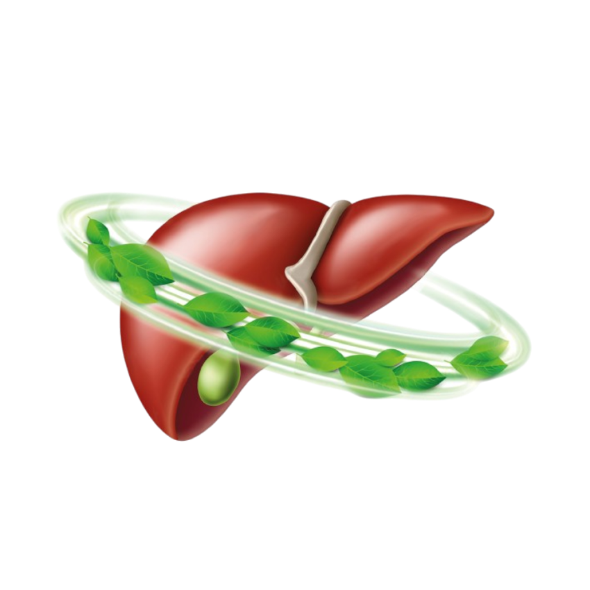 Hepato Extract 500ml