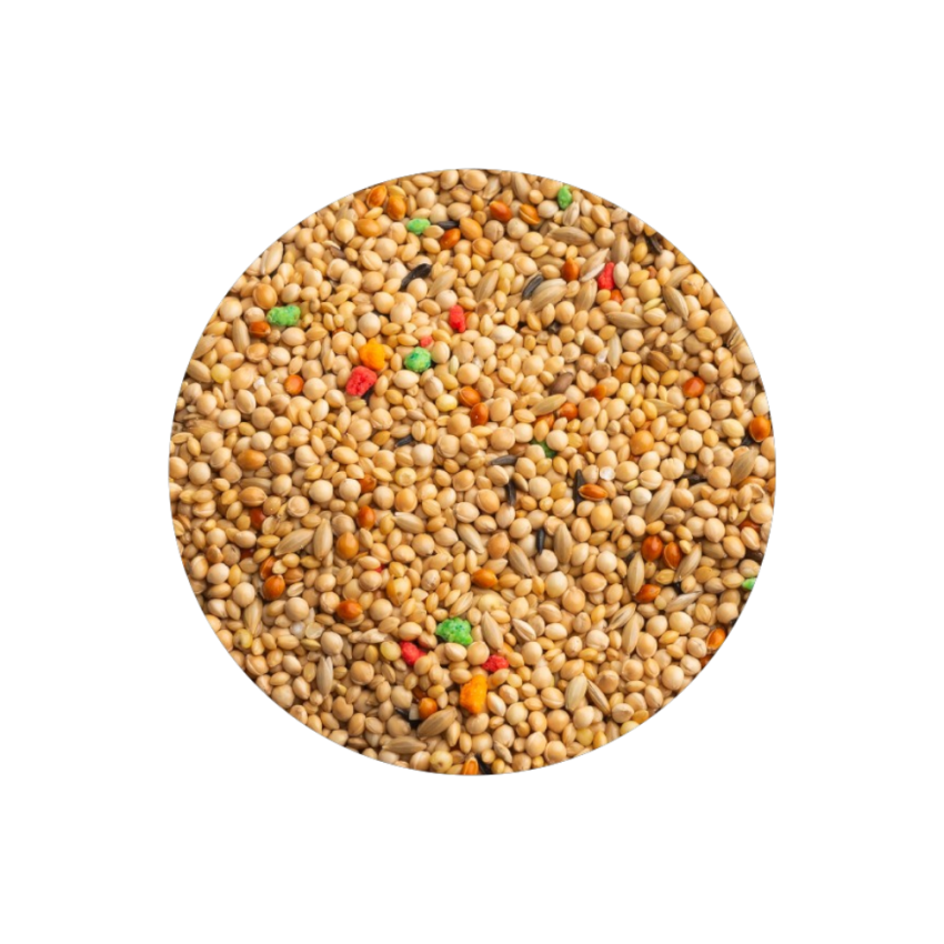 Exótico Classic 20kg