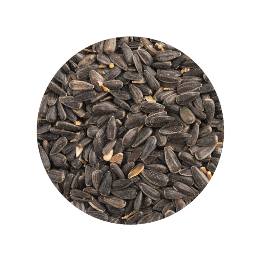 Girassol Preto 3kg