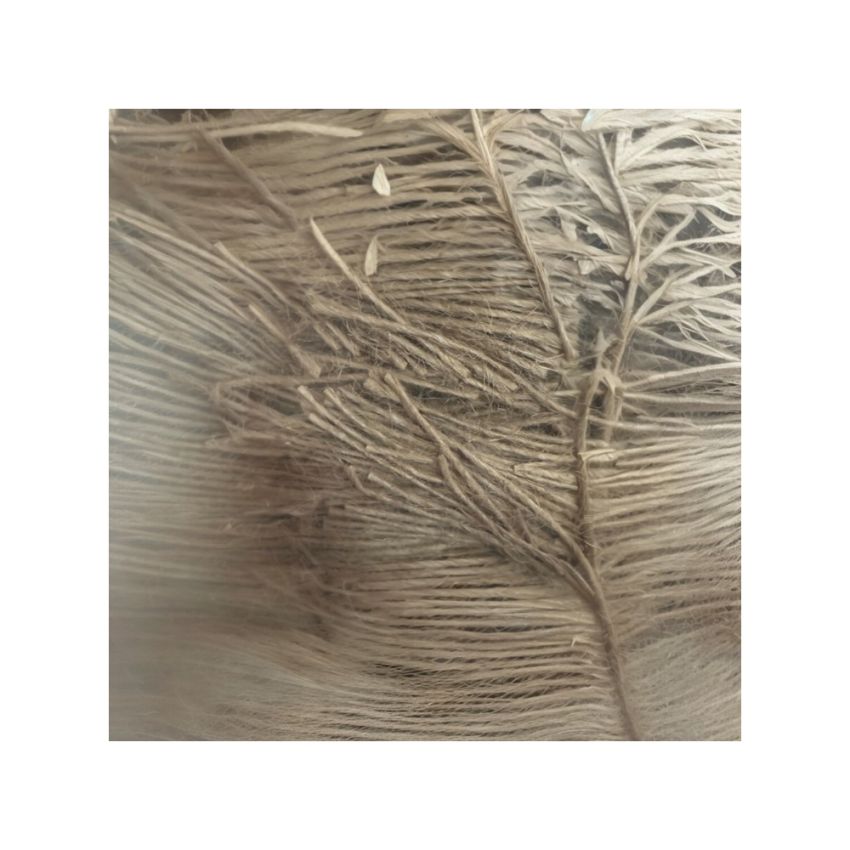 Fibra de Côco Pet Cup 100g