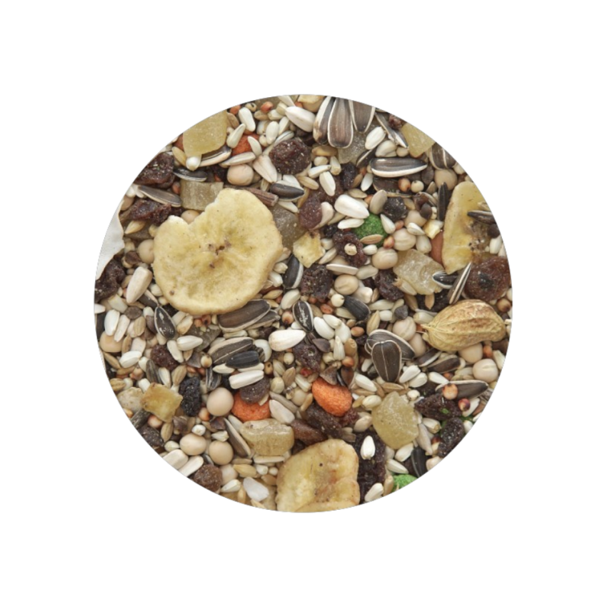 Papagaio com Frutos 3kg