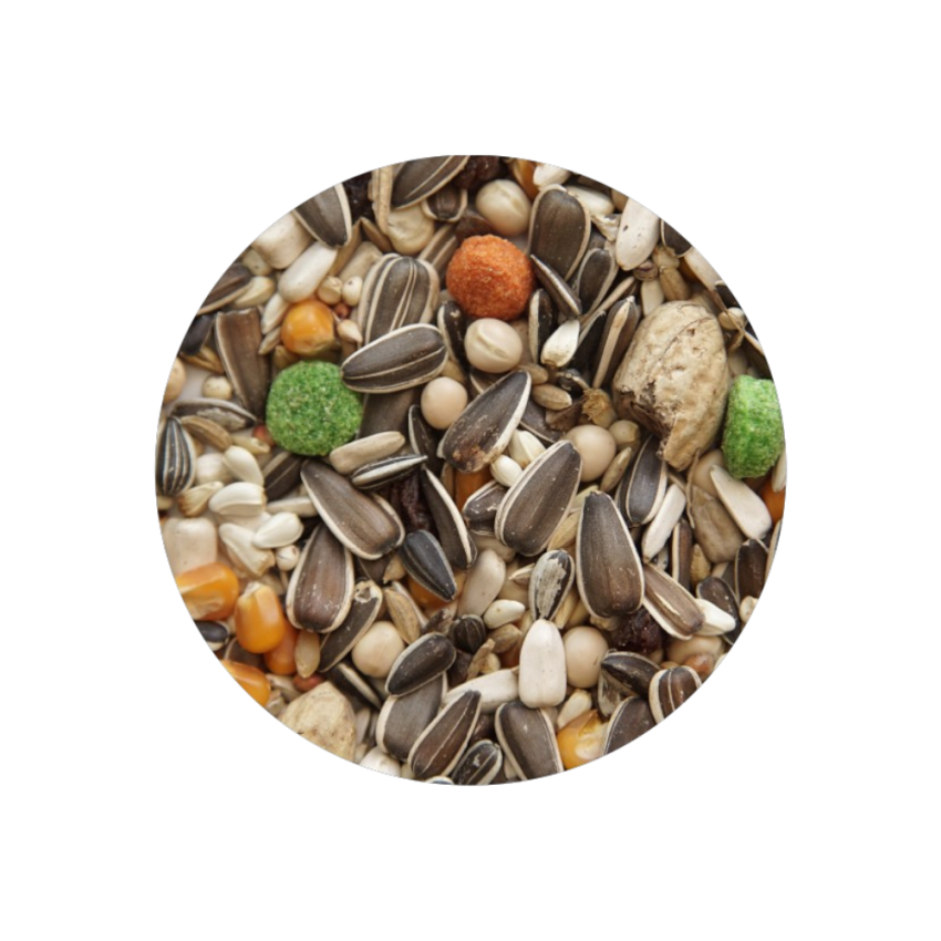 Papagaio Standart 700g