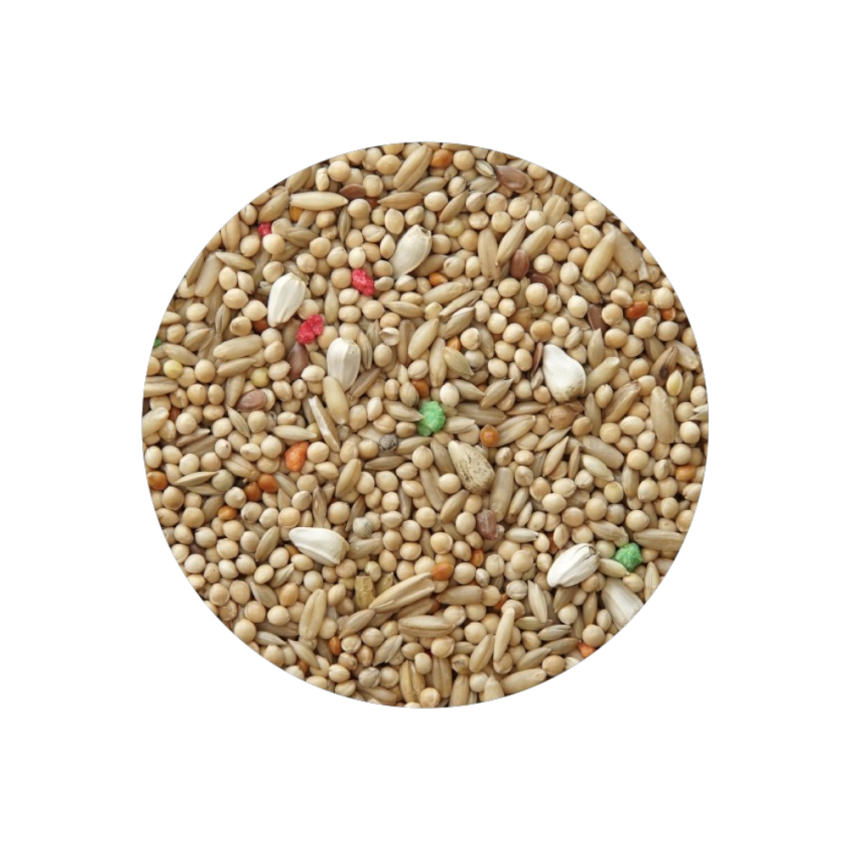 Periquito Standart 850g