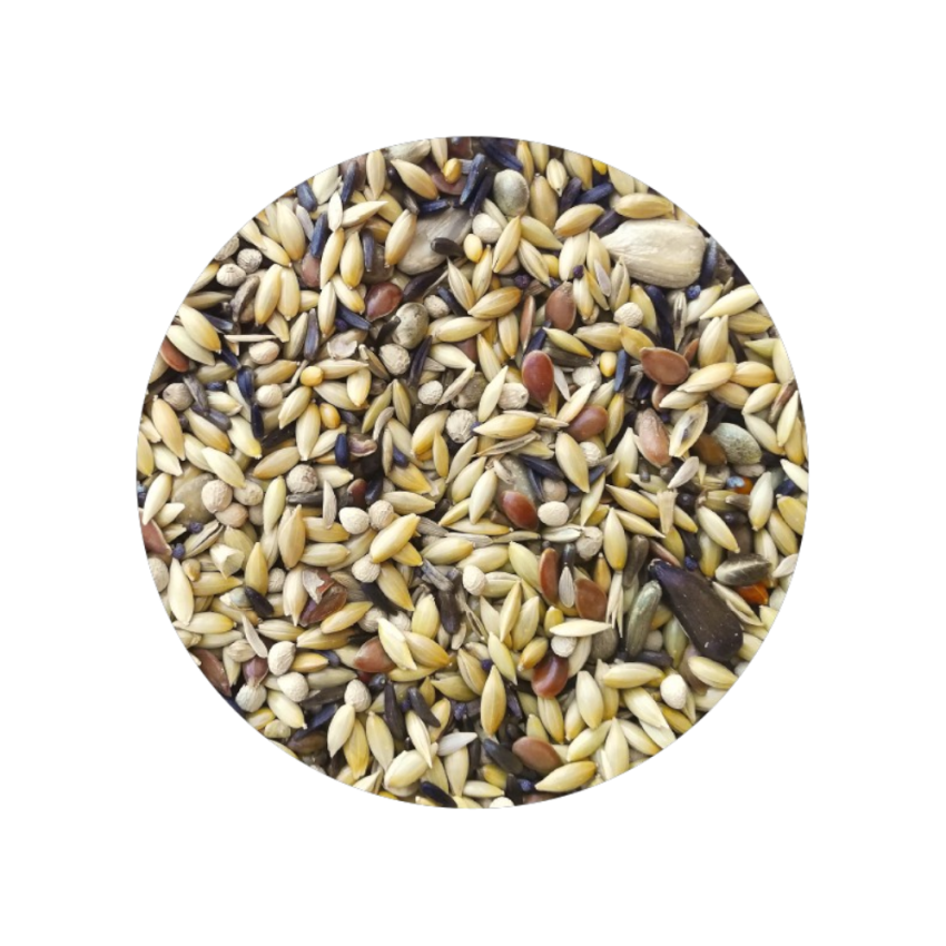 Pintassilgos Premium 4kg