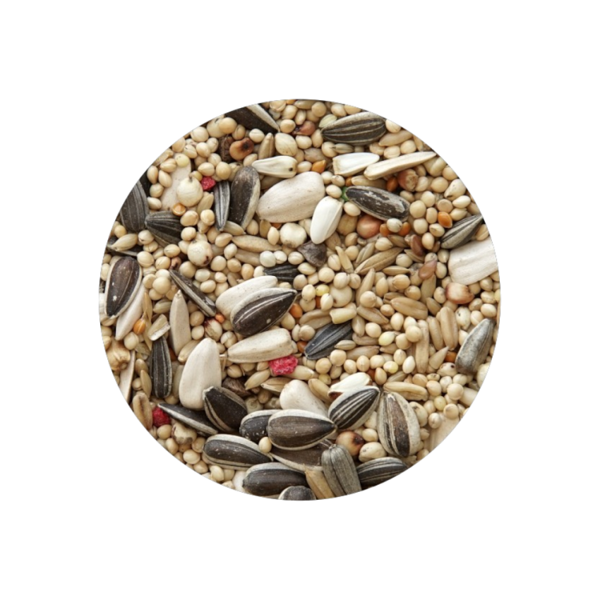 Psitacídeo Standart 4kg