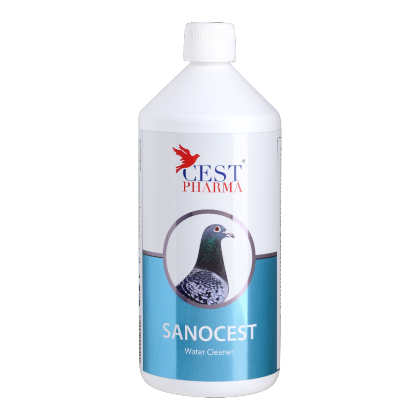 Sanocest 1000ml