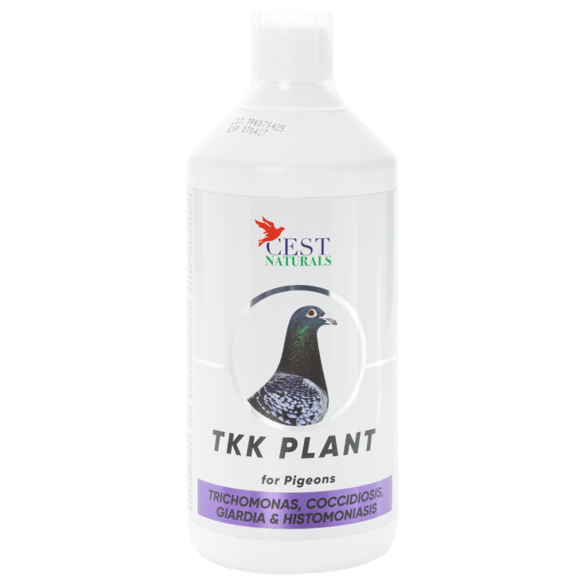 TKK Plant 1000 ML